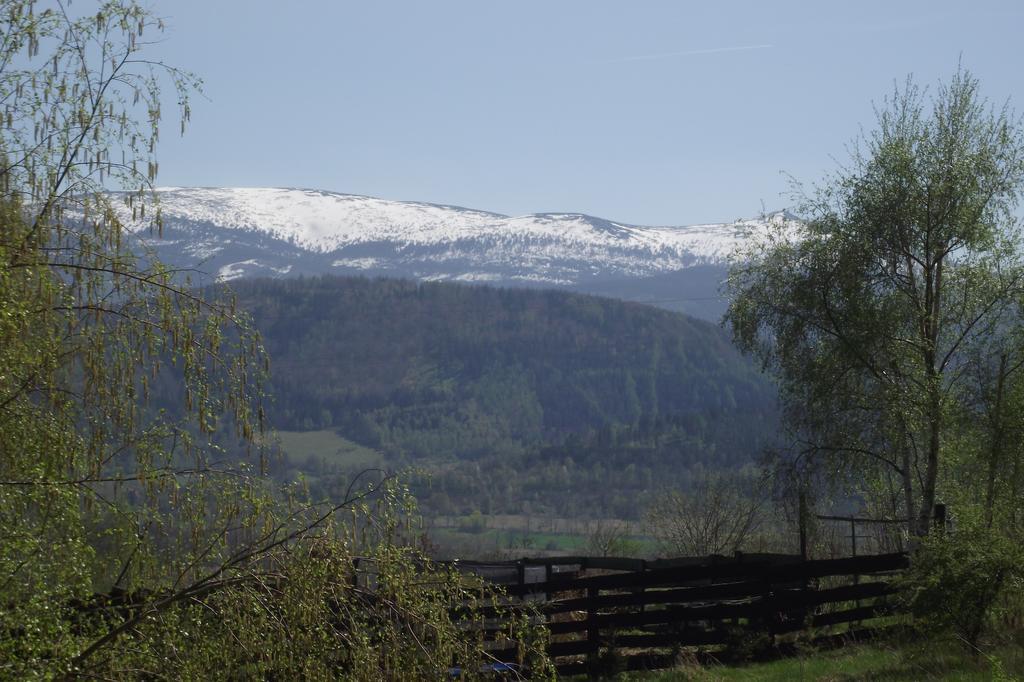 Domek Na Wzgorzu Wojcieszyce ภายนอก รูปภาพ